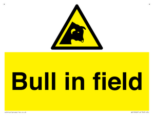 Bull in field